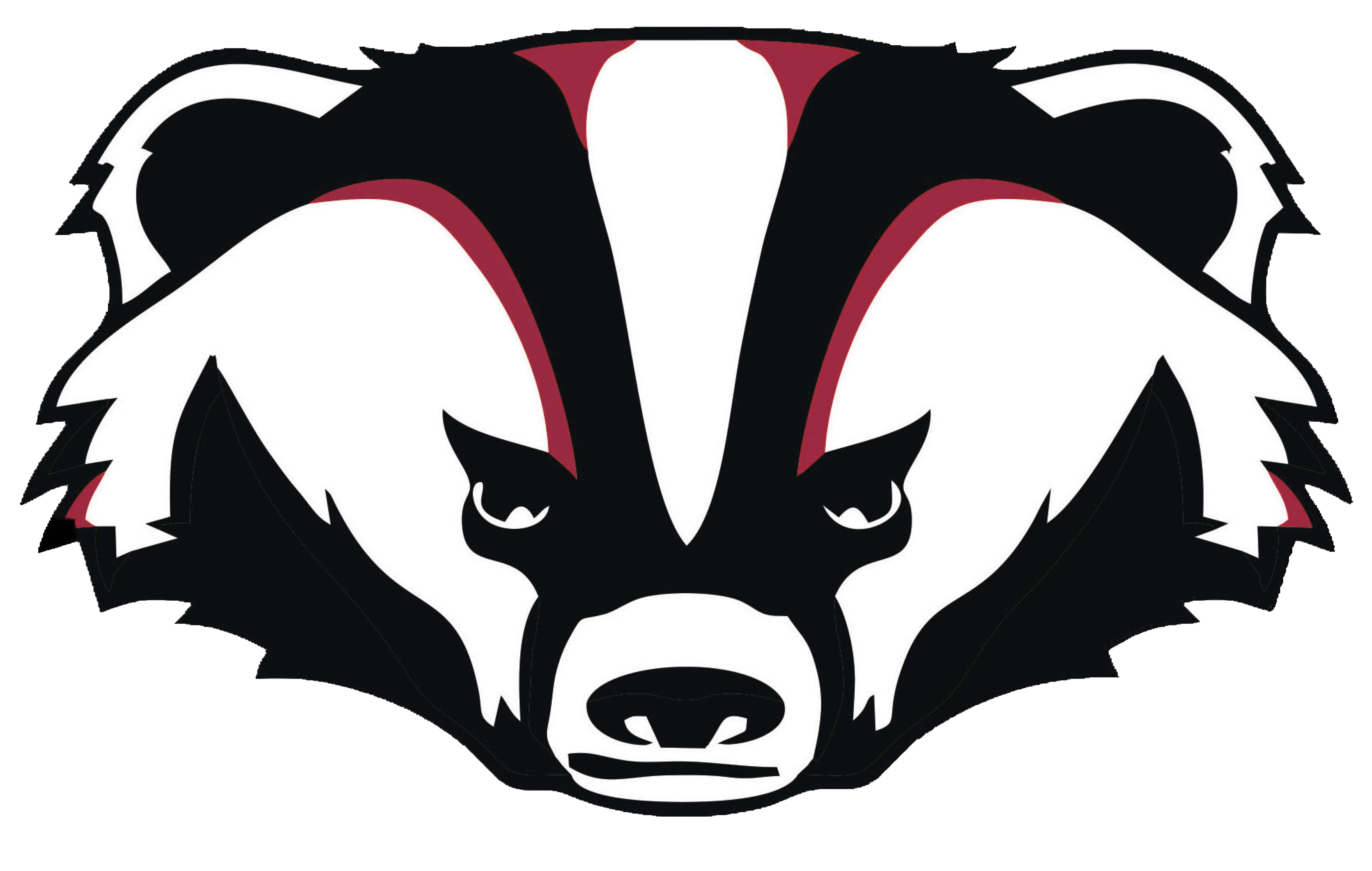 Badger wearing a hat, quirky animal character, cartoon PNG